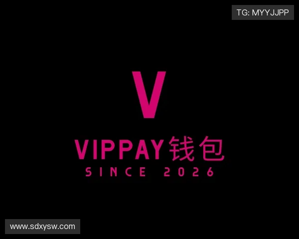 知道VipPay钱包